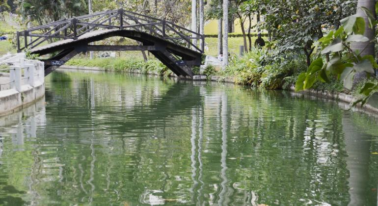 Lago do Parque Municipal Américo Renneé Giannetti com ponte para passagem de pedestres ao fundo. 