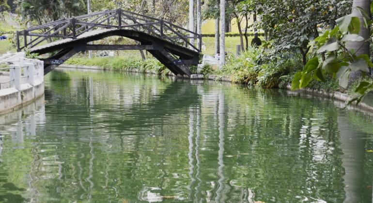 BH vai se transformar, durante o meses de setembro e outubro, na Capital Mundial da Água; monumentos serão iluminados de azul dia 1º/9. Foto: Amira Hissa/PBH Lago do Parque Municipal Américo Renneé Giannetti com ponte para passagem de pedestres ao fundo.