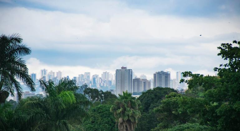 Em dia nublado, árvores em primeiro plano e prédios de Belo Horizonte ao fundo