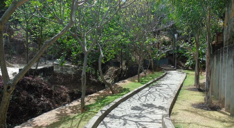 Parque José Lopes dos Reis, um dia ensolarado, um caminho de pedras entre as árvores.