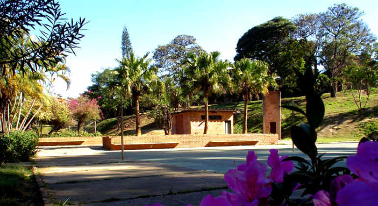 Muitas árvores e flores do Parque Professor Guilherme Lage.