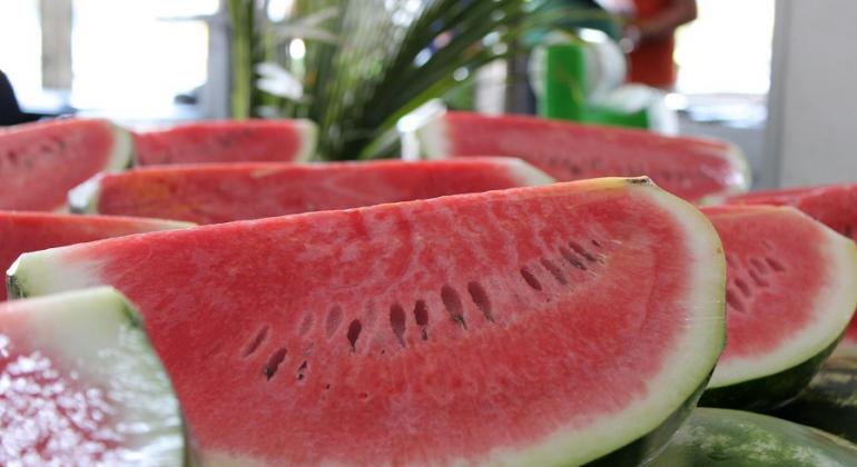 Programa Abastecer, da PBH, garante produtos hortifrutigranjeiros de qualidade e a preço acessível em terrenos públicos. Foto: Débora Oliveira Melancias cortadas em cima de melancias, no detalhe.