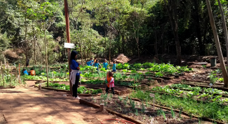 Criação de joaninhas irá ajudar no controle de pragas urbanas e na diminuição do uso de pesticidas. Foto: Divulgação/PBH Alunos da escola integrada durante visita a casa amrela que fica dentro do parque das mangabeiras