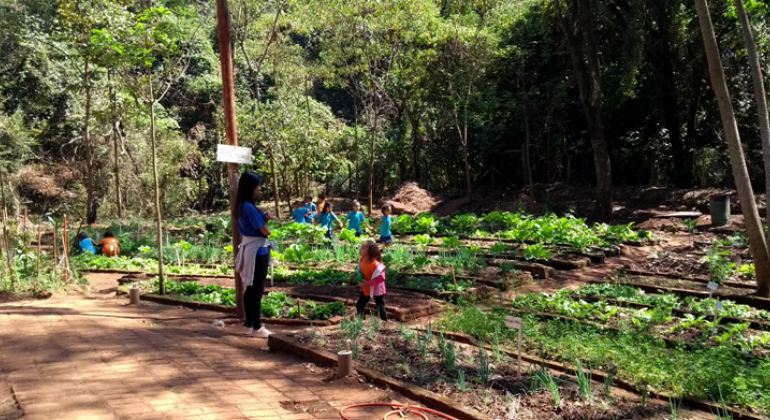 Alunos da escola integrada durante visita a casa amrela que fica dentro do parque das mangabeiras