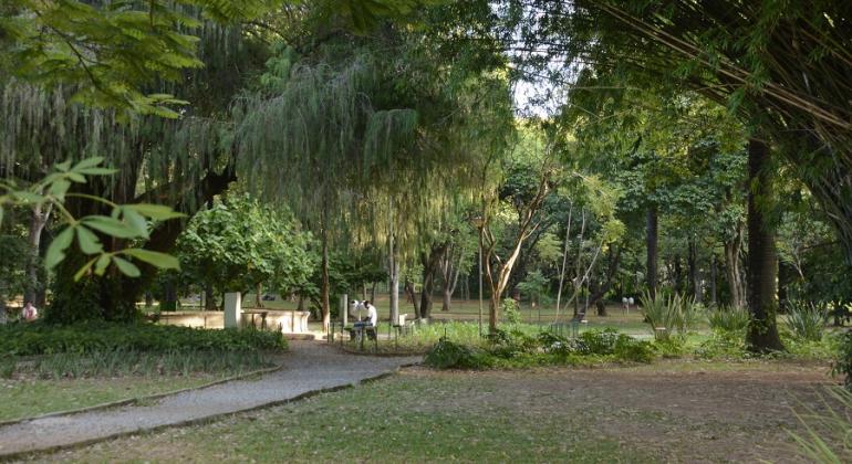 Parque Municipal Américo Renneé Giannetti, com muito verde. Ao fundo, homem sentado em banco e lago. 