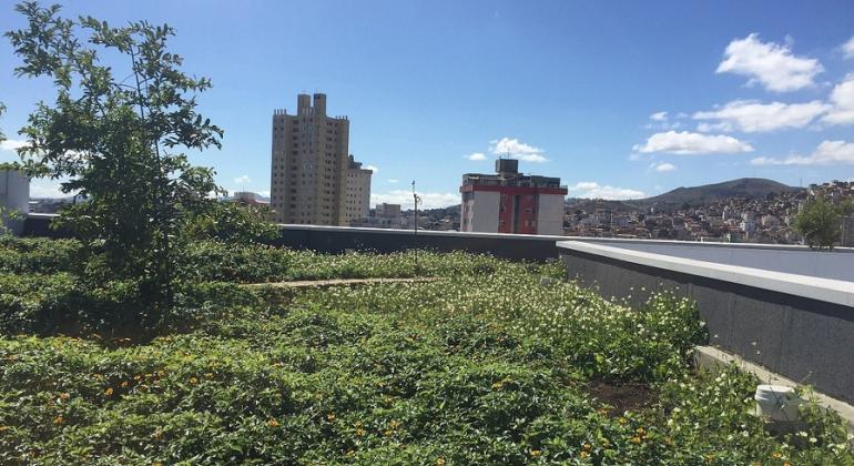 Medida para minimizar impactos ambientais é usada no licenciamento ambiental em Belo Horizonte e traz benefícios para a cidade. Foto: Divulgação PBH Telhado de construção com grama e plantas; ao fundo, prédios e céu azul.