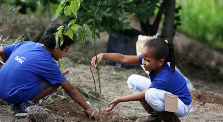 Alunos de programa do SESCA plantam muda de árvore no Parque Fernando Sabino crianças fazem plantio de árvore no parque Fernando Sabino