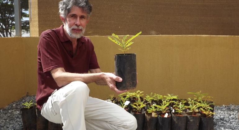 Fundação de Parques e Zoobotânica promove ações para a conservação de espécie da flora ameaçada de extinção. Foto: Suziane Fonseca/PBH Homem segura mudas de espécie ameaçada de extinção.