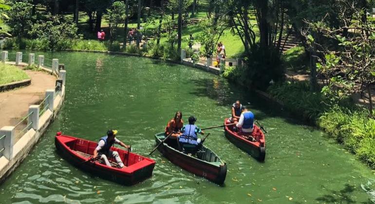 Confira os principais eventos gratuitos que acontecem em BH neste fim de semana, dias 16 e 17 de dezembro. Foto: Stênio Lima/PBH Cinco cidadãos em três barcos em lagoa do Parque Municipal Américo Renné Gianneti.