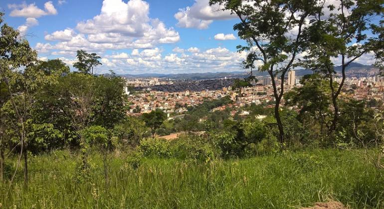 Lugar com vegetação verde, ao fundo, cidade de Belo Horizonte.