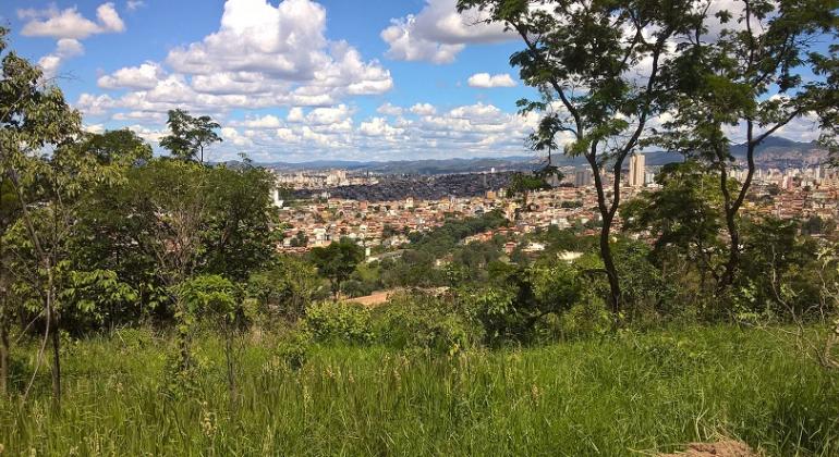 A Prefeitura vai plantar cerca de 1200 mudas até fevereiro de 2018, na Serra do Engenho Nogueira e no Parque Parque Fernando Sabino. Foto: Divulgação PBH Lugar com vegetação verde, ao fundo, cidade de Belo Horizonte.