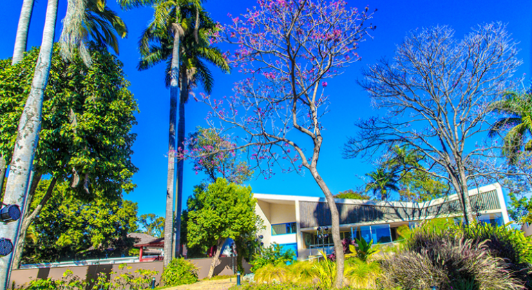 Jardins de Burle Marx no Museu Casa Kubistchek em dia de sol. Plantas como palmeira e ipês