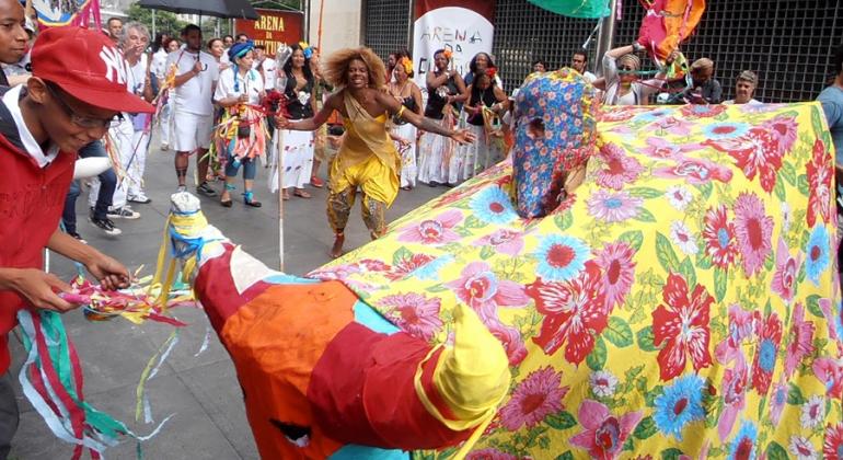 Mais de 20 pessoas dançam em apresentação cultural de rua; à frente, boi bumbá.