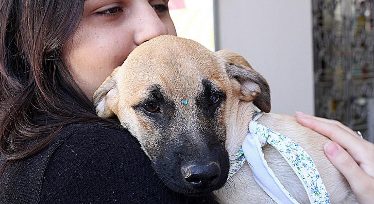 Garota abraça cão adotado. 