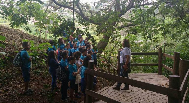 Grupo de alunos de escola municipal observa professora debaixo de uma árvore