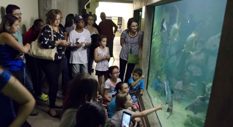 Cerca de dez crianças, acompanhadas por 3 adultos, admiram um aquário que ocupa toda uma parede da sala, com peixes dentro. 