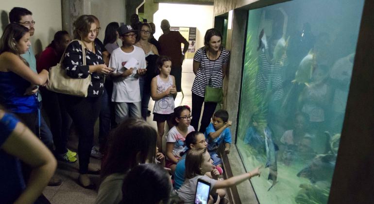 Fundação de Parques Municipais e Zoobotânica realiza edição do Projeto “Uma Noite no Aquário” na sexta-feira, dia 18/5. Foto: Daniel Alves Cerca de dez crianças, acompanhadas por 3 adultos, admiram um aquário que ocupa toda uma parede da sala, com peixes dentro.