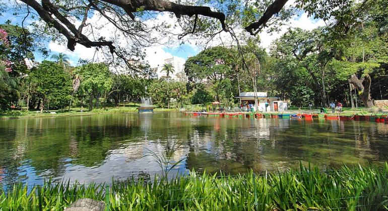 Confira os principais eventos gratuitos que acontecem em BH neste fim de semana, de 4 a 6 de maio. Foto: Divulgação PBH Lago do Parque Municipal Américo Renneé Ginanetti, durante o dia.