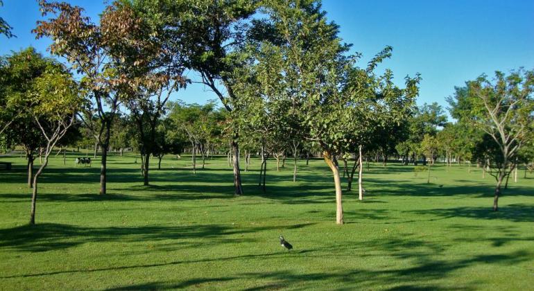 Parque Ecológico da Pampulha, com grama verde e pequenas árvores, em dia de céu claro.