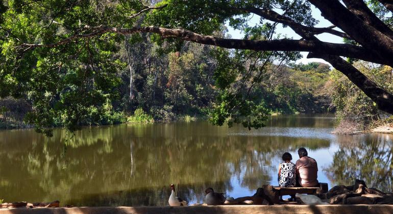 Duas mulheres estão sentadas em um banco, debaixo de uma árvore, de costas, rodeadas por patos. À frente delas, um há um lago e muitas plantas