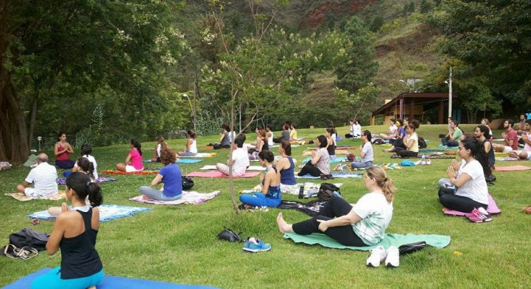 Mais de doze pessoas praticam yoga em um parque, sentadas em cangas ou tapetes. 
