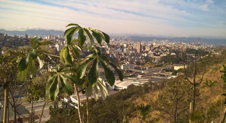 Árvores na serra do Engenho Nogueira e, ao fundo, vista da cidade.