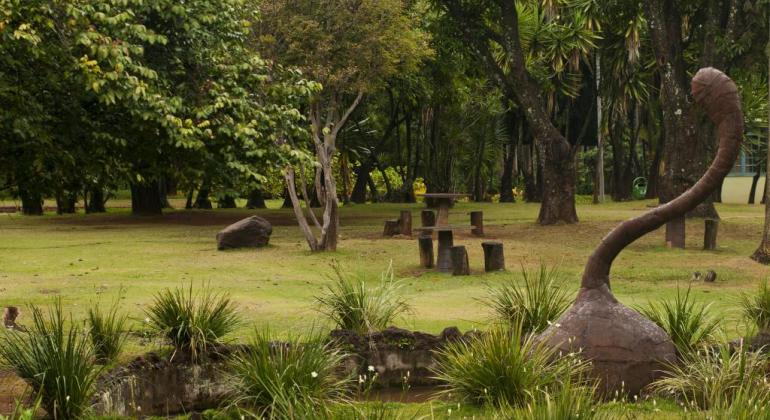 Área verde no parque das águas