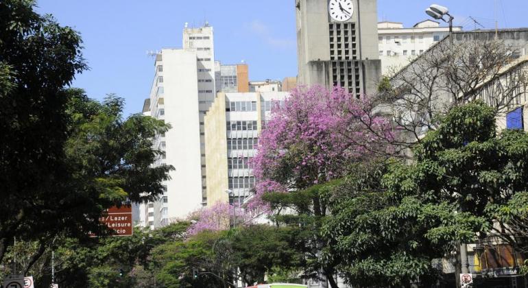 Os ipês começaram a sua temporada de floração no fim do outono e no início do inverno e já colorem as ruas da capital mineira. Foto: Rodrigo Clemente/PBH Dois ipês rosas em meio a quatro árvores na avenida Afonso Pena, próximo à Prefeitura Municipal de Belo Horizonte, durante o dia.