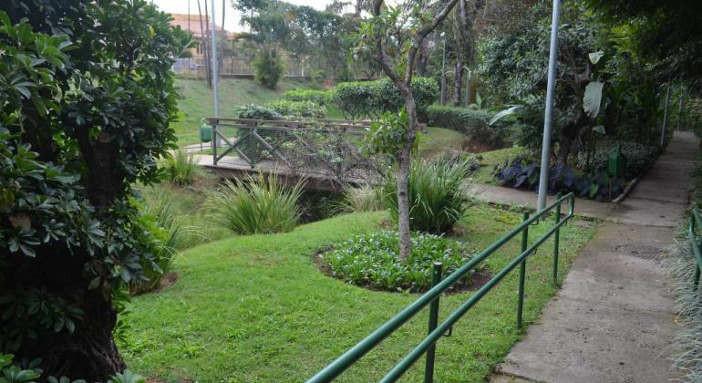 Parque ecológico: Pista de caminhada, corrimão, árvores, grama e uma ponte sobre o córrego