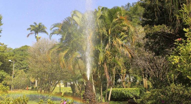 Chafariz, jardim e área verde do Parque Burle Marx