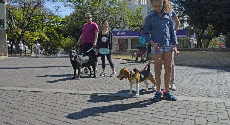 Criança segura cachorro pela coleira na Praça da Savassi