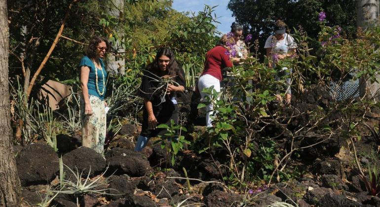 Jardins do Museu Casa Kubitschek abrigam diversidade de espécies da flora Cinco pessoas estão em um jardim com pedras e plantas