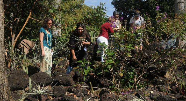 Cinco pessoas estão em um jardim com pedras e plantas