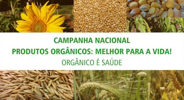 Campanha Nacional dos Orgânicos 2018 tem programação especial Mosaico com fotos de diversos grãos