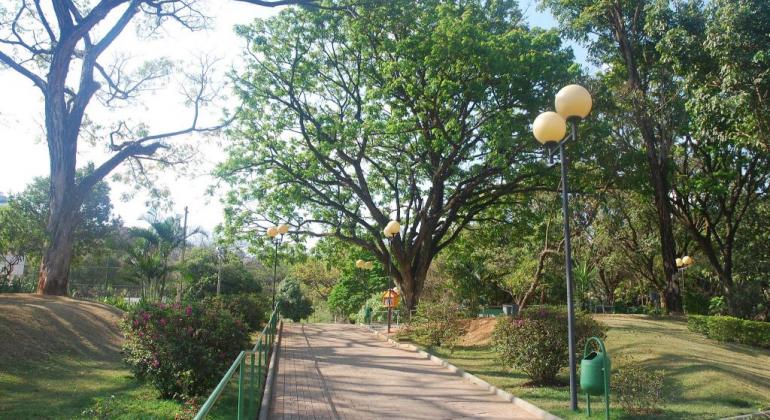 Pista de caminhada, árvores e postes de iluminação