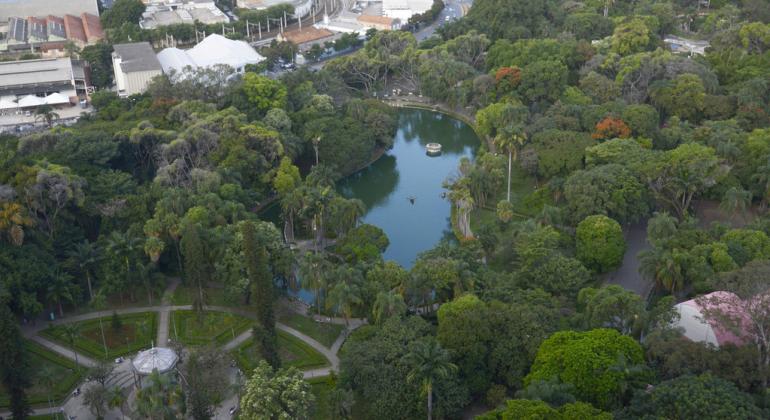 Parques de BH terão o horário de funcionamento alterado neste domingo, dia 7 foto aérea do Parque Municipal Américo Renné Giannetti, muitas árvores e um lago central.