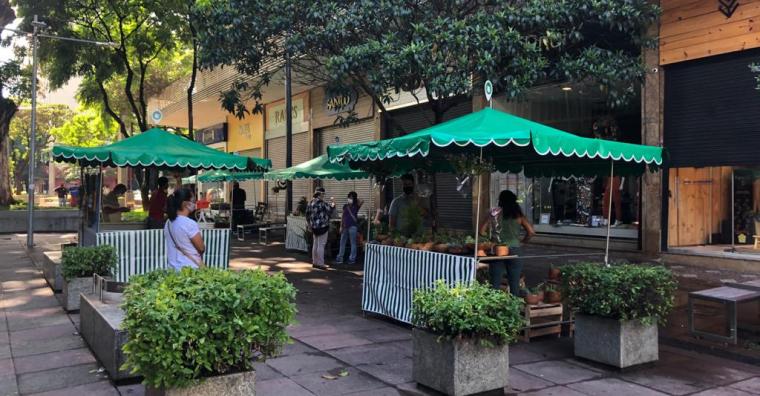 Feira de Plantas e Flores da Savassi triplica número de expositores