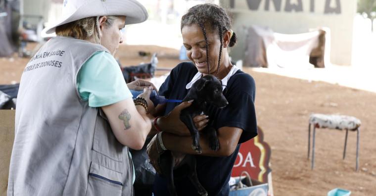 Animais tutelados por pessoas em situação de rua recebem cuidados veterinários da PBH 