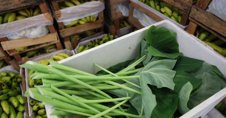 Prefeitura de Belo Horizonte qualifica profissionais na área de manipulação de alimentos 