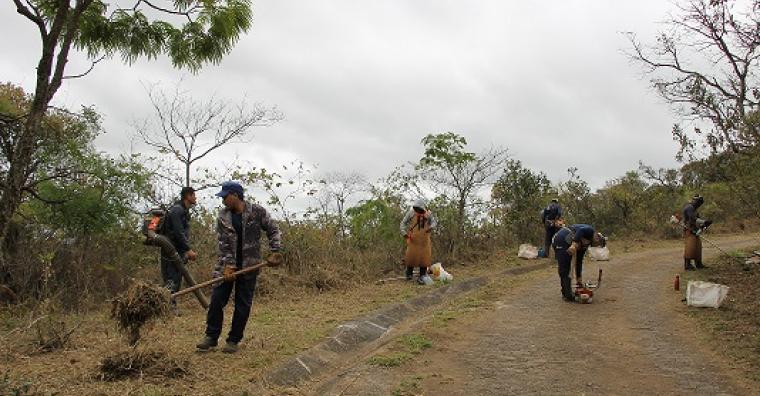 Ações preventivas da PBH reduzem em 77% os incêndios em parques municipais