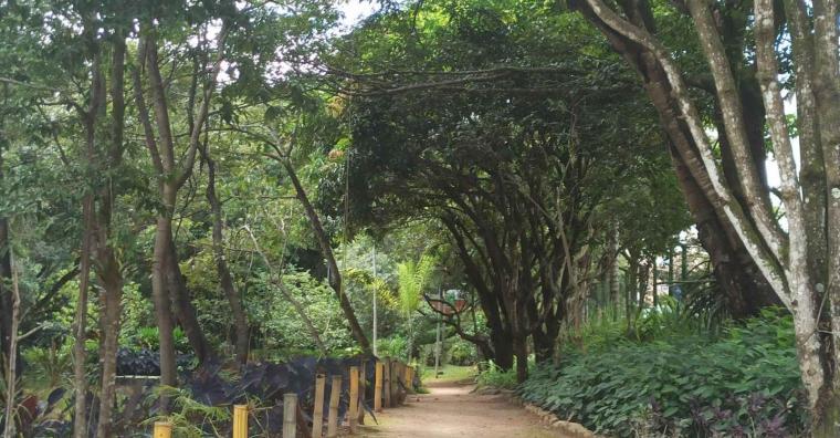 Trilha Kids leva a criançada a ter contato com a natureza no Ursulina de Andrade Mello