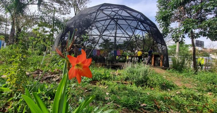 Prefeitura de BH abre inscrições para 200 vagas gratuitas em curso de agroecologia