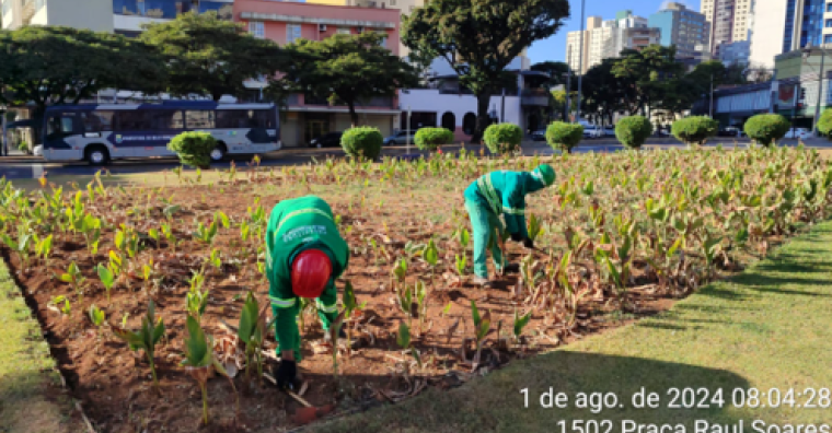 Ação de manutenção na Praça Raul Soares