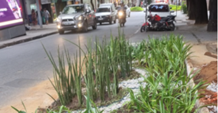 Jardins de chuva
