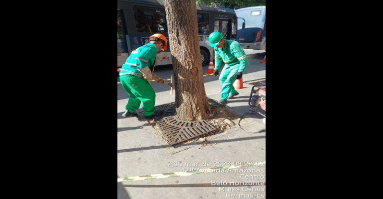 Homens de uniforme verde retiram grade na raiz de uma árvore.