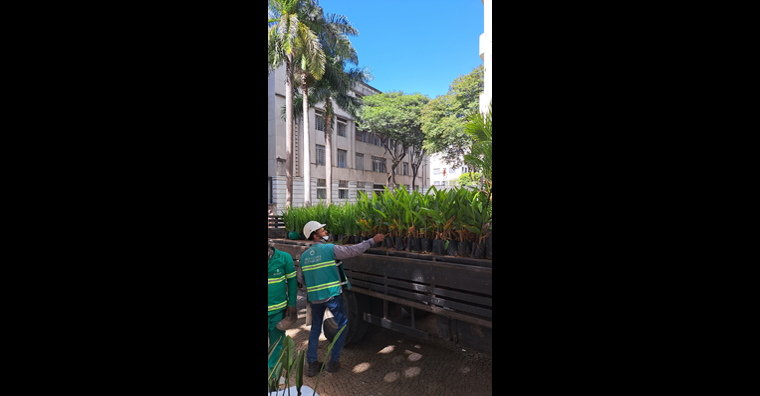 Plantio dos canteiros da Praça Professor Alberto Deodato - Rua da Bahia esquina com Rua Goiás