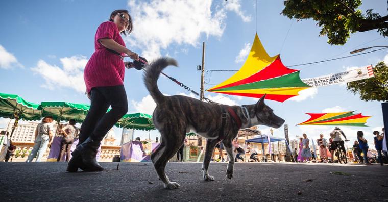 Mulher passeia com cachorro na Rua Sapucaí