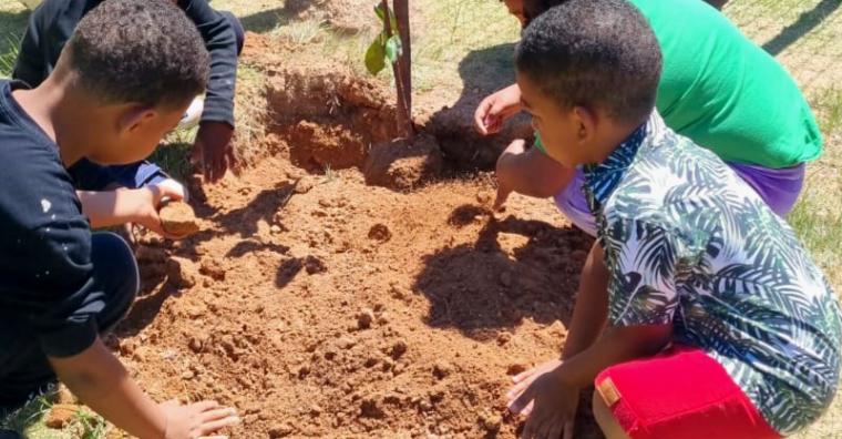 Unidades de educação infantil recebem plantios de mudas da Escola Verde Unidades de educação infantil recebem plantios de mudas da Escola Verde