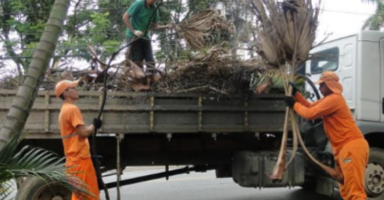 Trabalhadores recolhem galhos e folhas de árvore para um caminhão