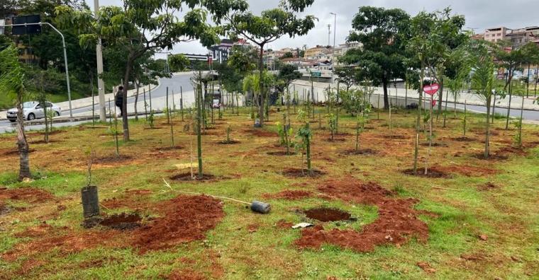  PBH plantará minifloresta como legado do Carnaval 2025